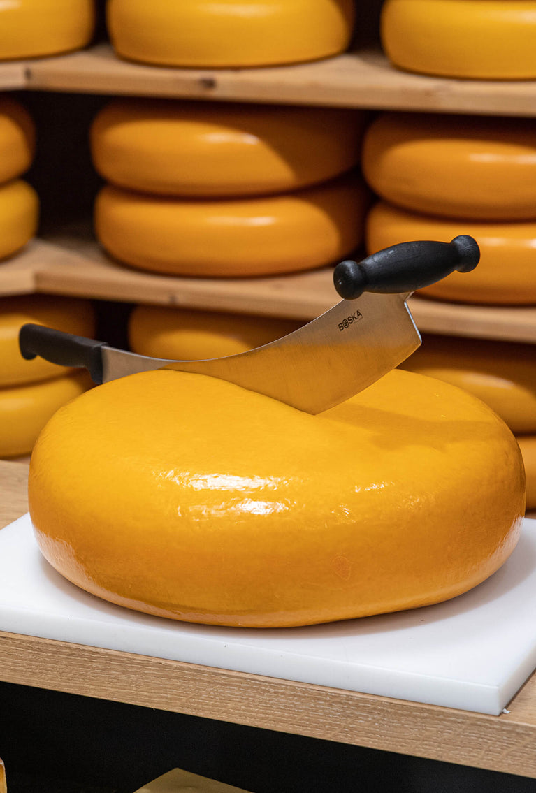 Dutch cheese knives