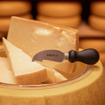 Cheese replica Parmesan Reggiano, with dish