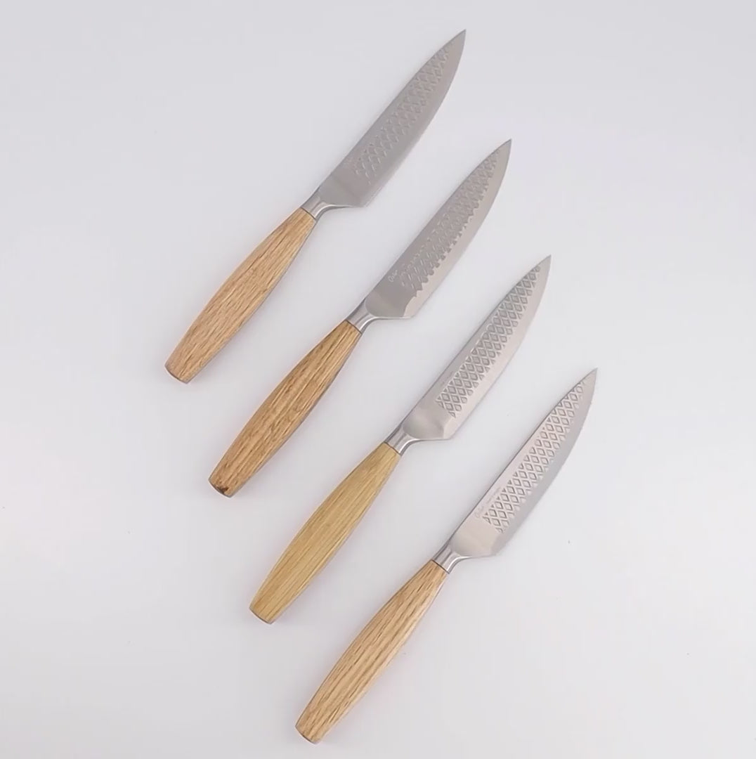 Gourmet In-Drawer Steak Knife Set
